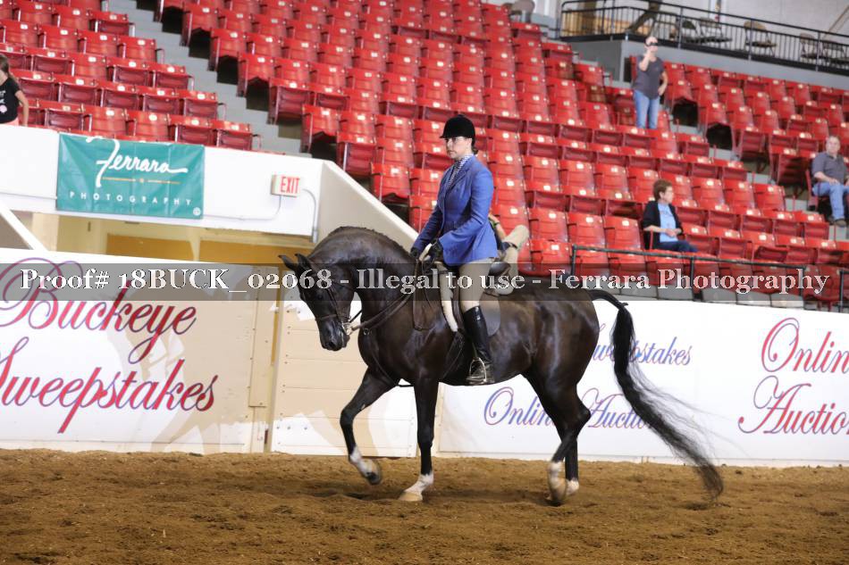 Proof 18BUCK_02068