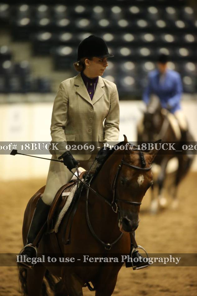 Proof 18BUCK_02069