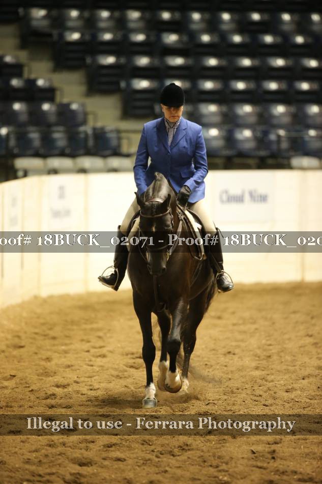 Proof 18BUCK_02071