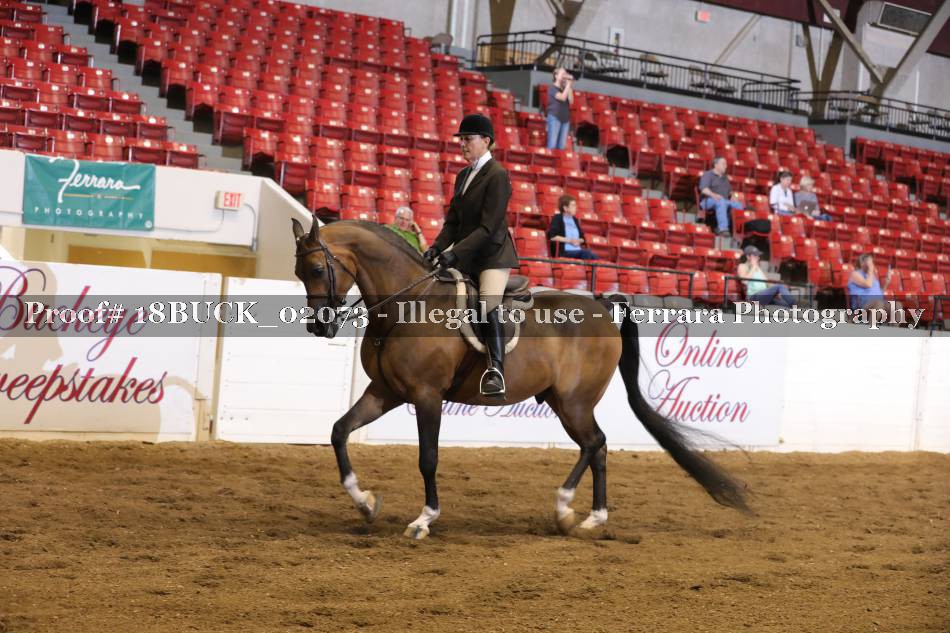 Proof 18BUCK_02073