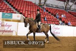 18BUCK_02073 proof