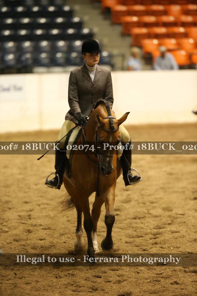 Proof 18BUCK_02074