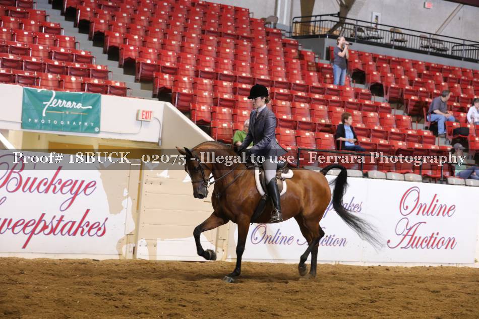 Proof 18BUCK_02075