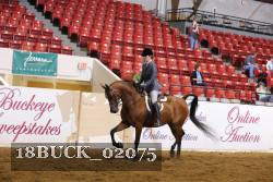 18BUCK_02075 proof