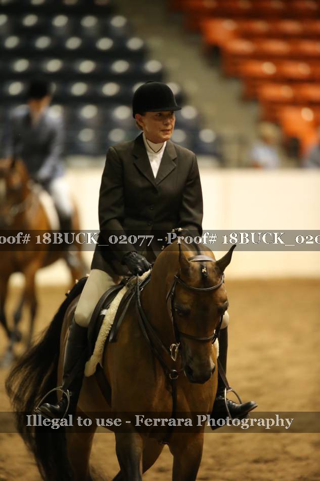 Proof 18BUCK_02077