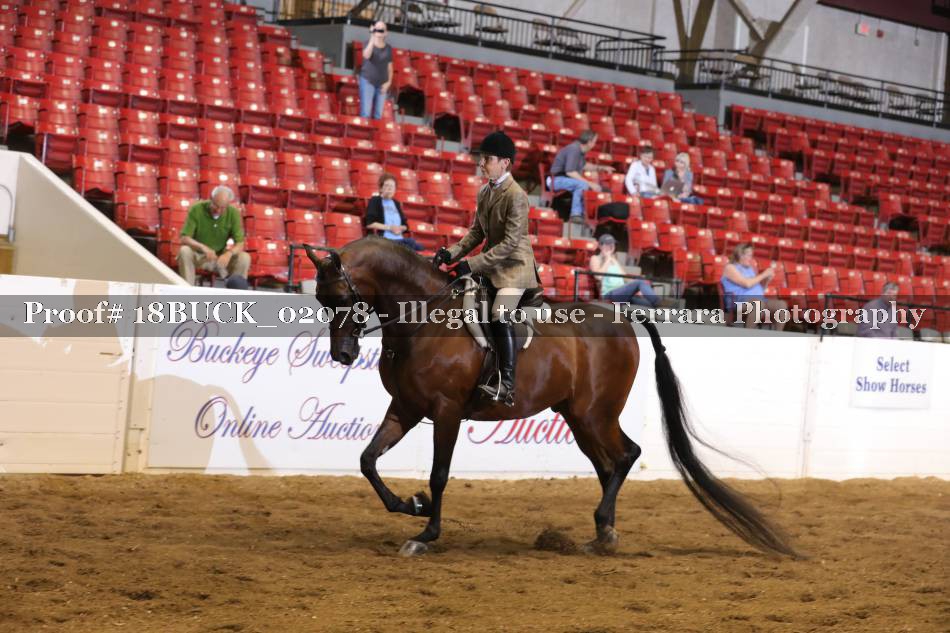 Proof 18BUCK_02078