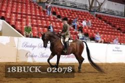 18BUCK_02078 proof