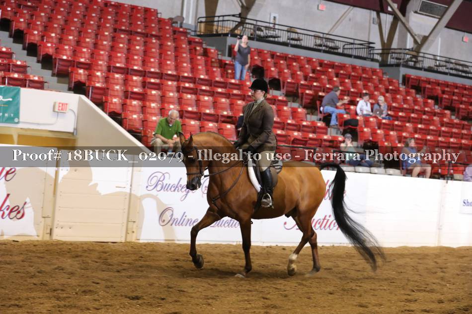 Proof 18BUCK_02079