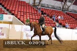 18BUCK_02079 proof