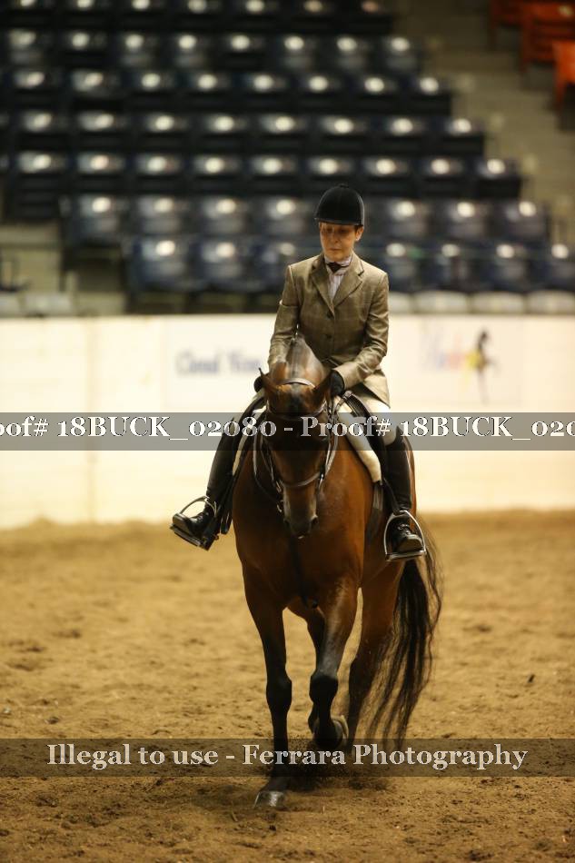 Proof 18BUCK_02080