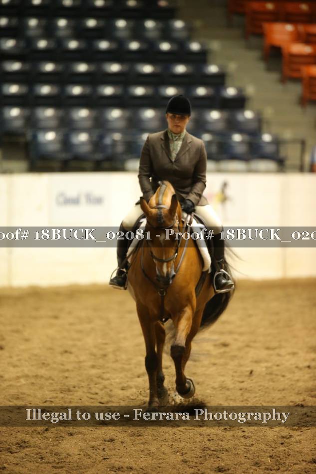 Proof 18BUCK_02081