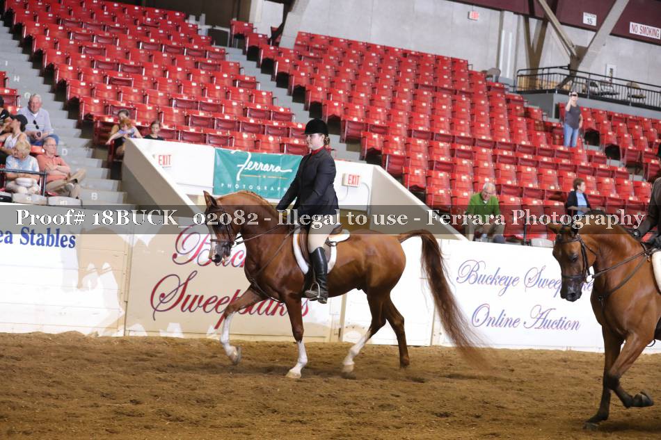 Proof 18BUCK_02082