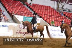 18BUCK_02082 proof