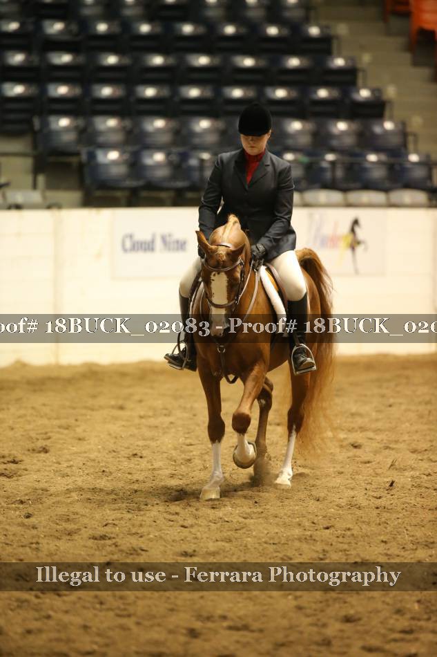 Proof 18BUCK_02083