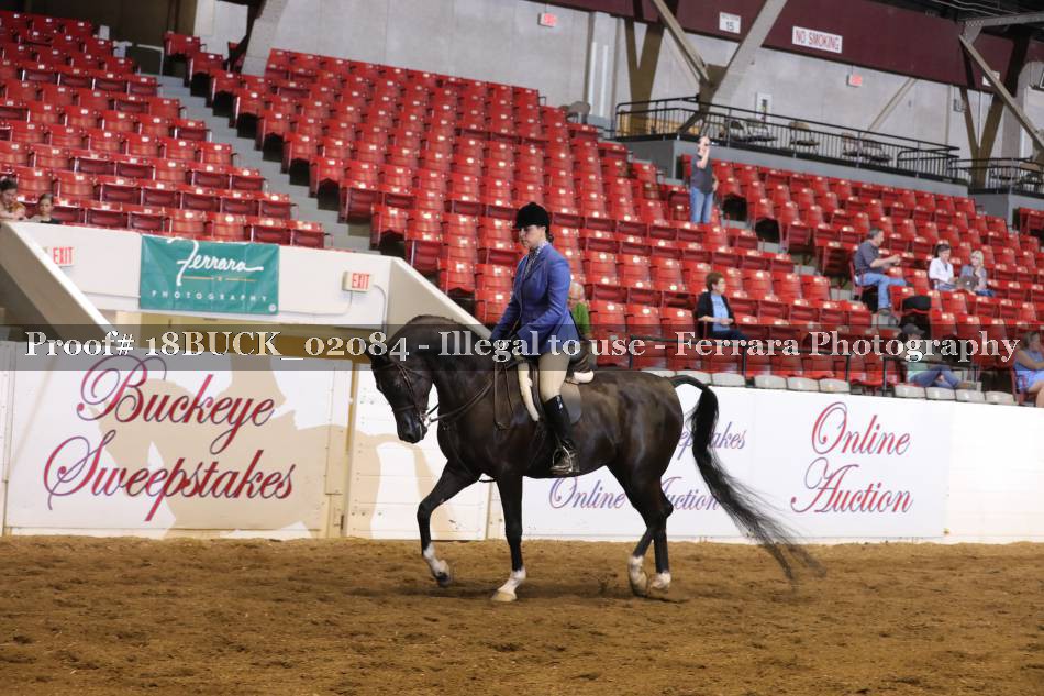 Proof 18BUCK_02084