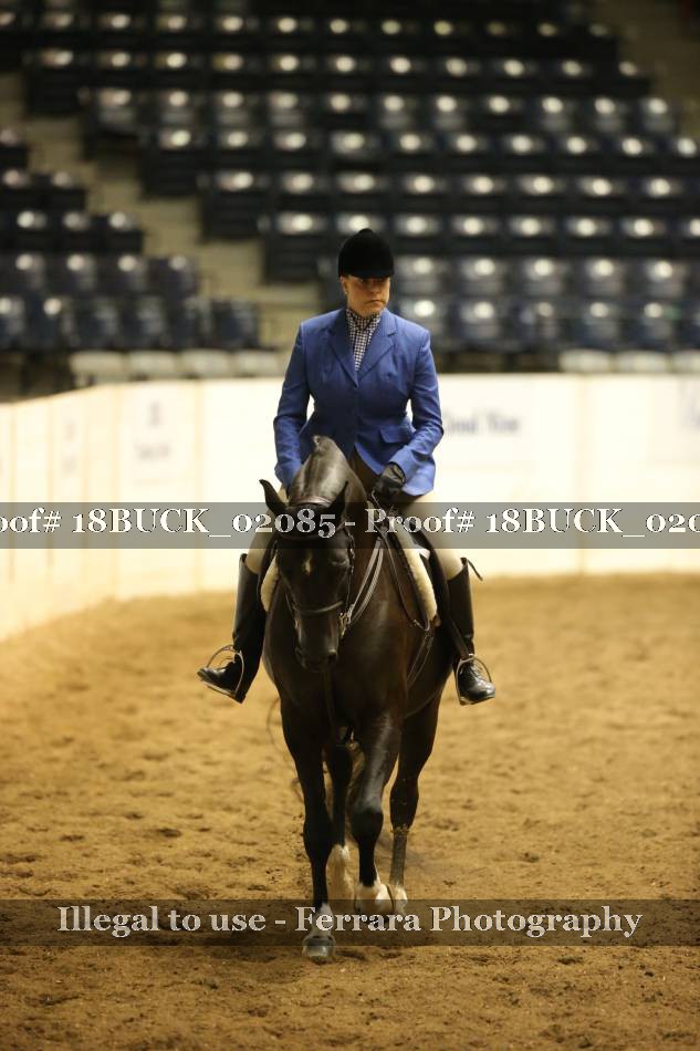 Proof 18BUCK_02085