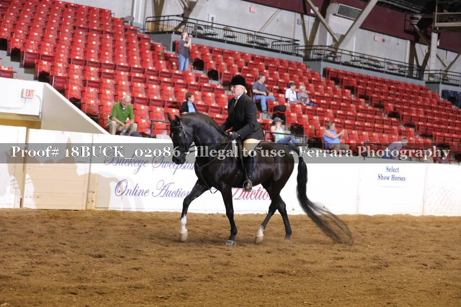 Proof 18BUCK_02086