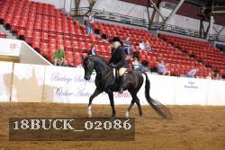 18BUCK_02086 proof