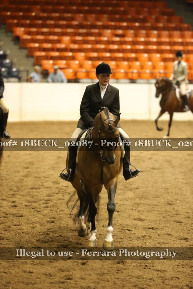 Proof 18BUCK_02087