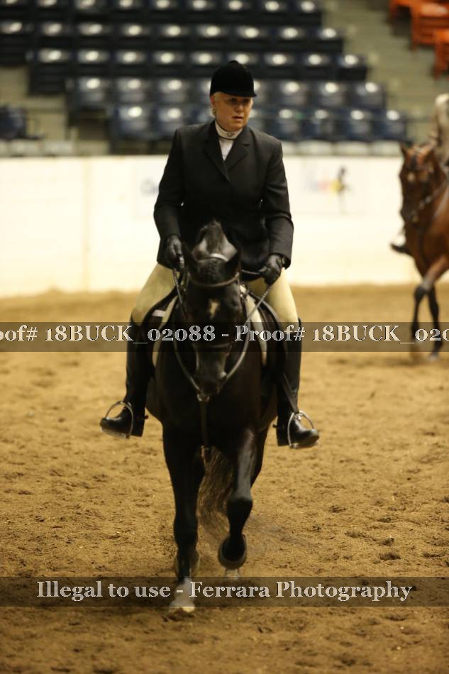 Proof 18BUCK_02088
