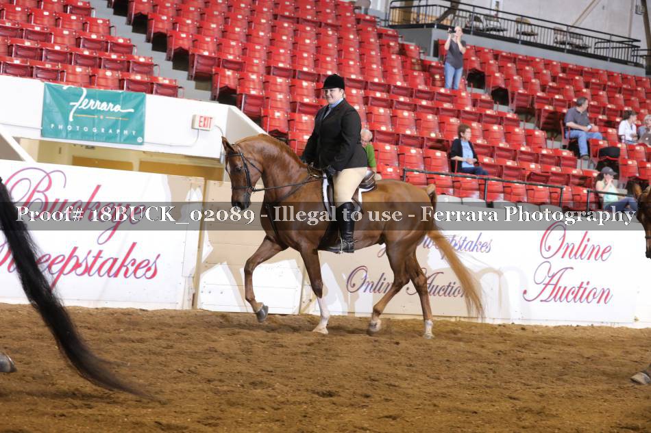 Proof 18BUCK_02089