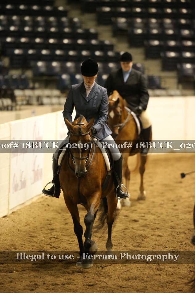 Proof 18BUCK_02091
