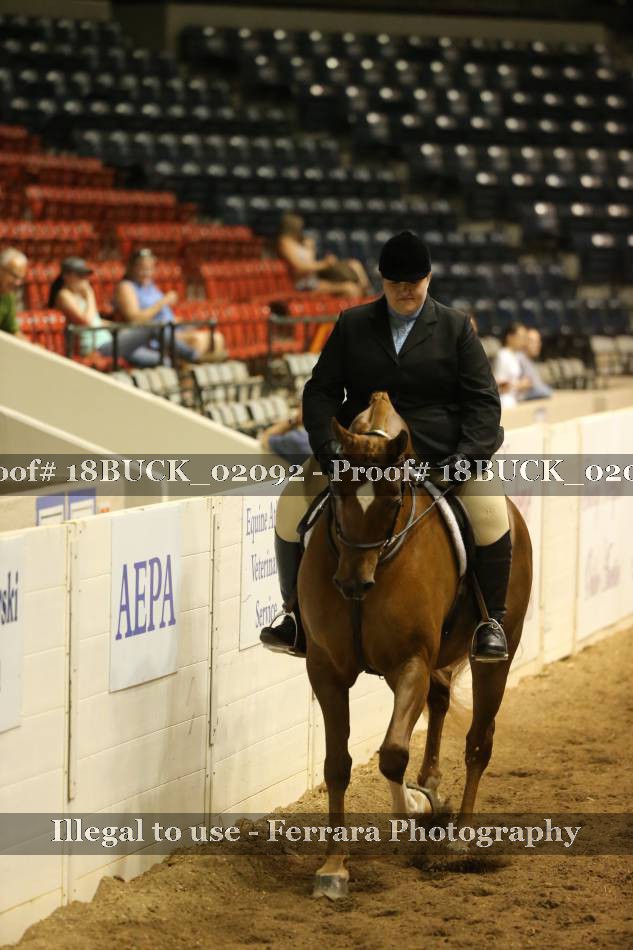 Proof 18BUCK_02092