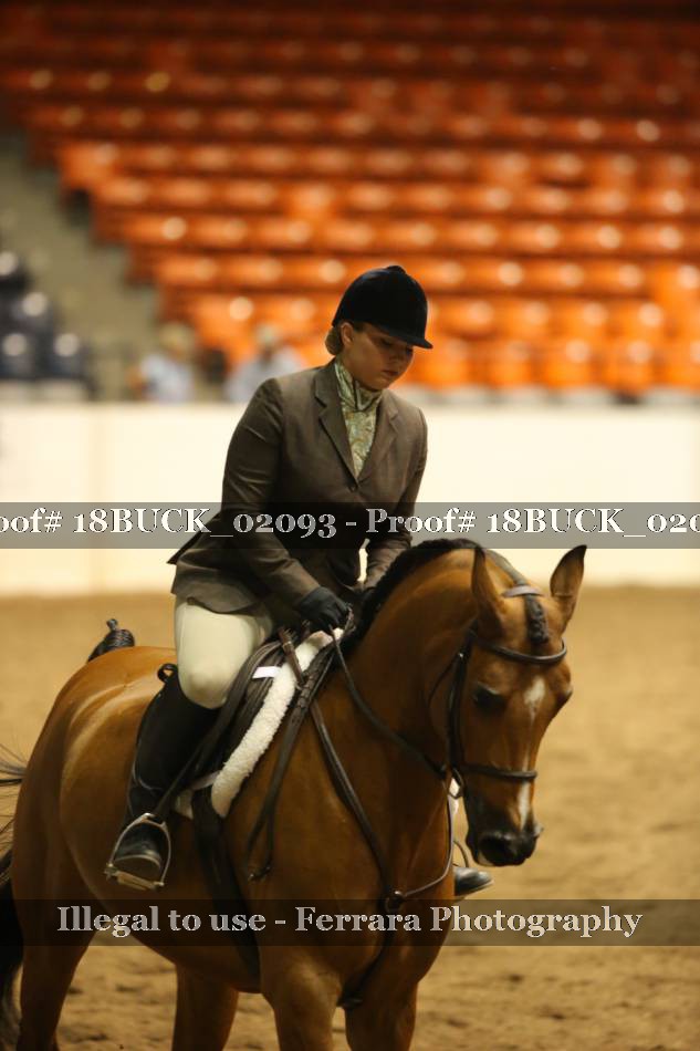Proof 18BUCK_02093
