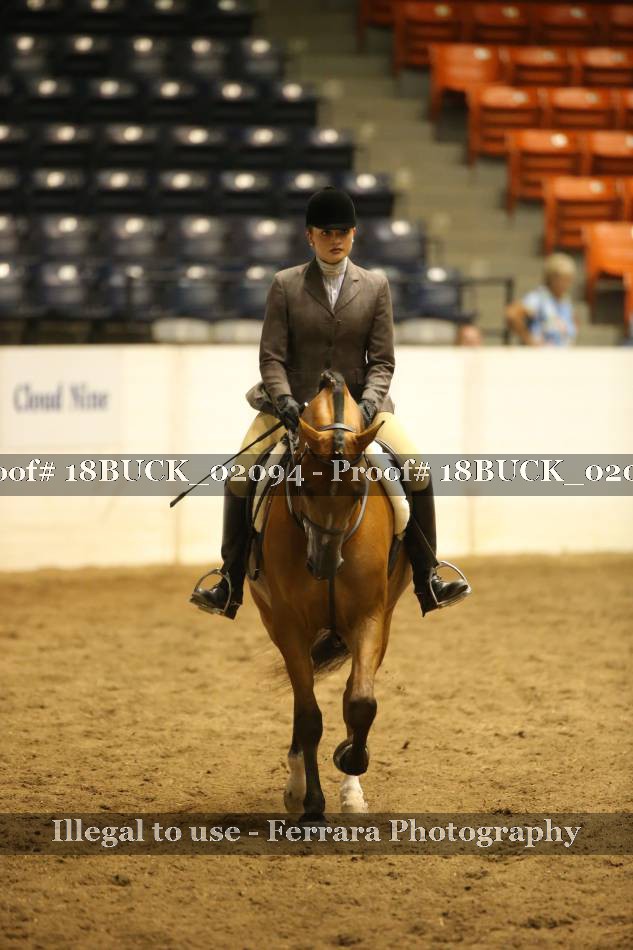 Proof 18BUCK_02094