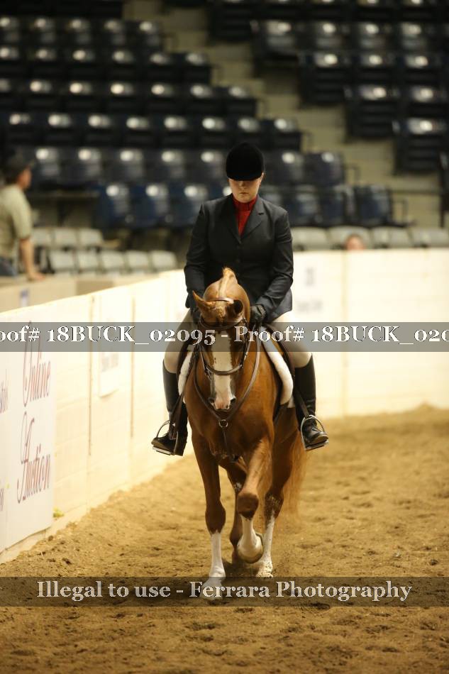 Proof 18BUCK_02095