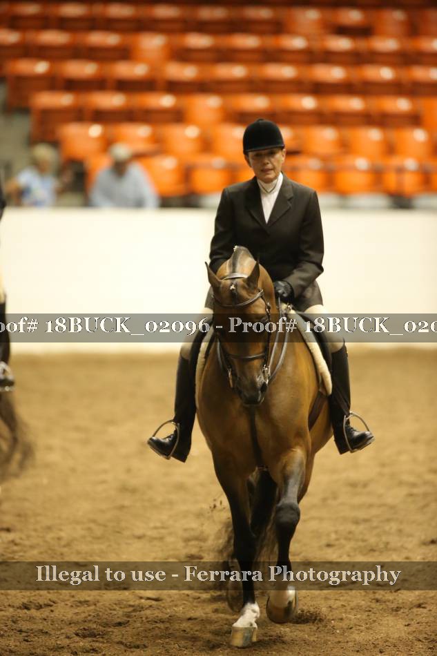 Proof 18BUCK_02096