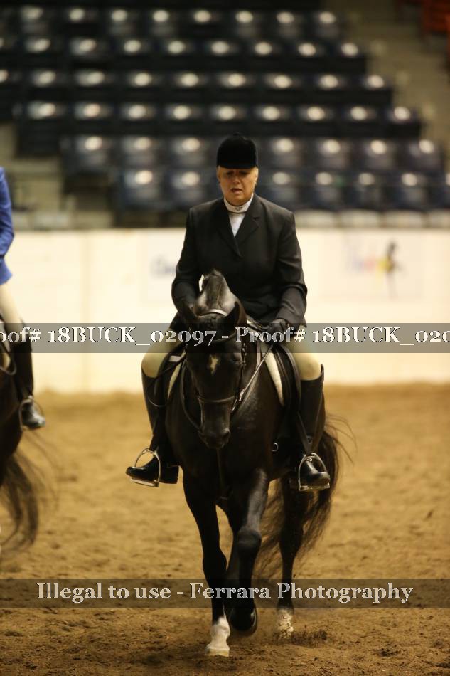 Proof 18BUCK_02097