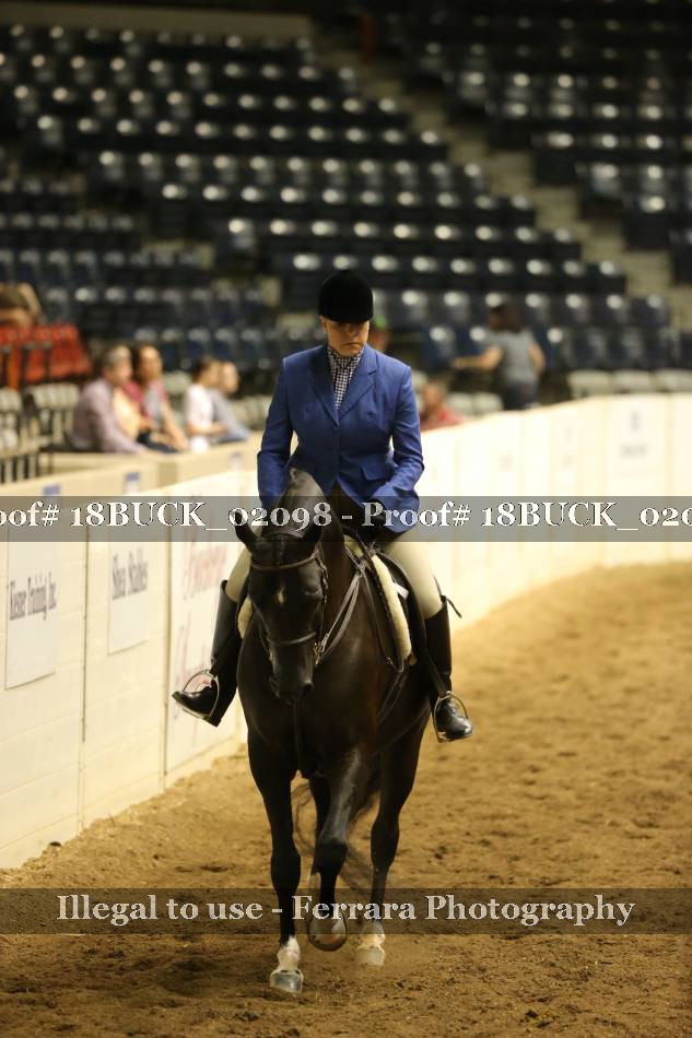 Proof 18BUCK_02098