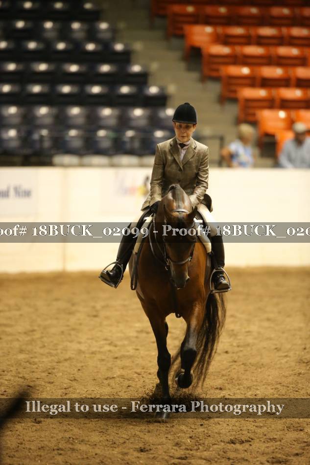 Proof 18BUCK_02099