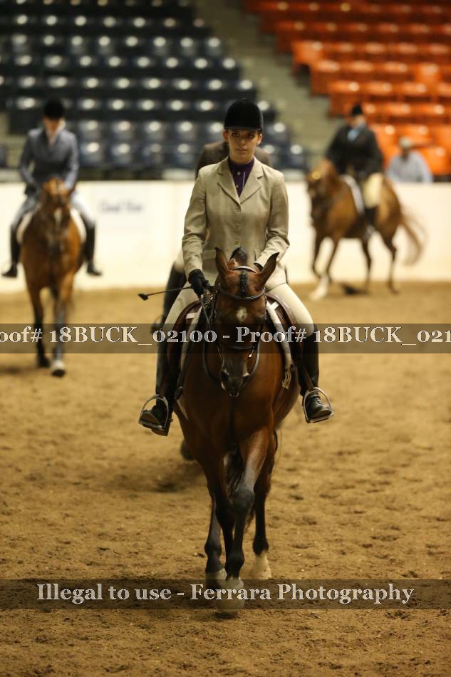 Proof 18BUCK_02100