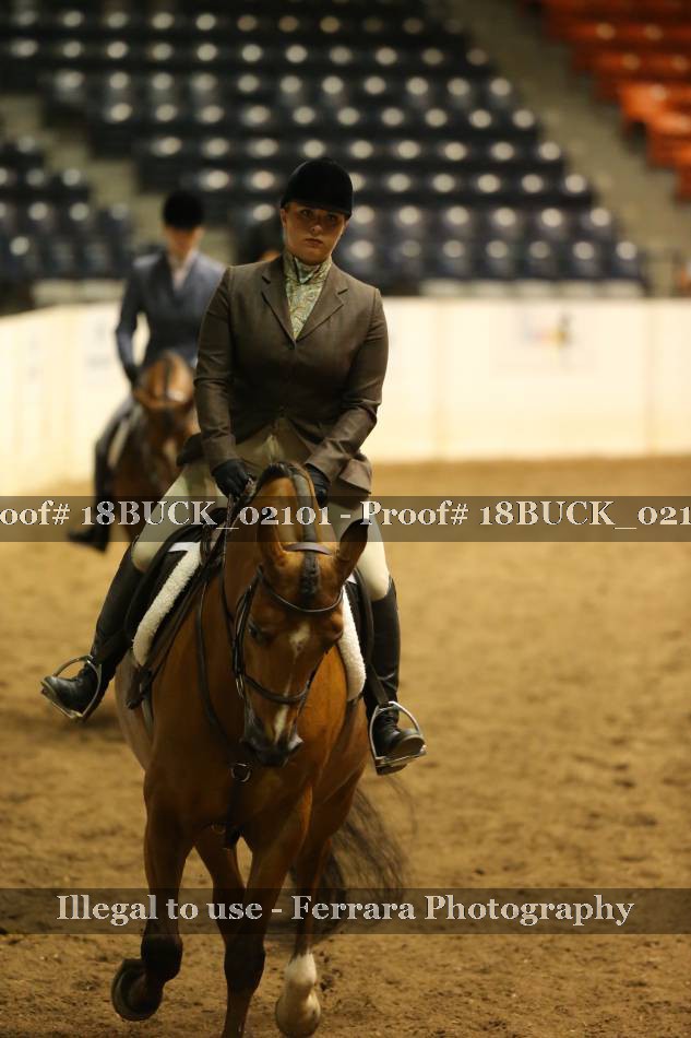 Proof 18BUCK_02101