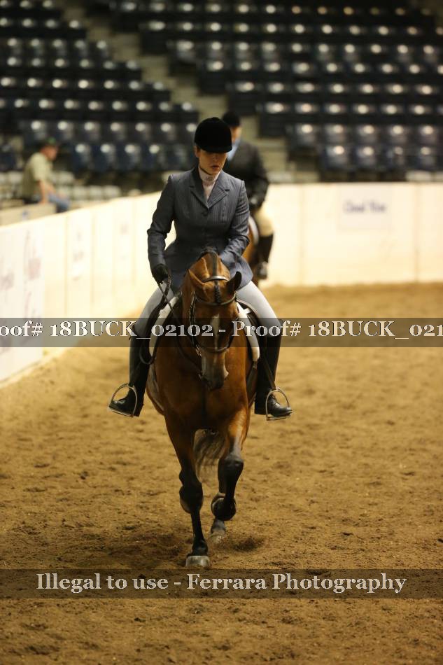 Proof 18BUCK_02102