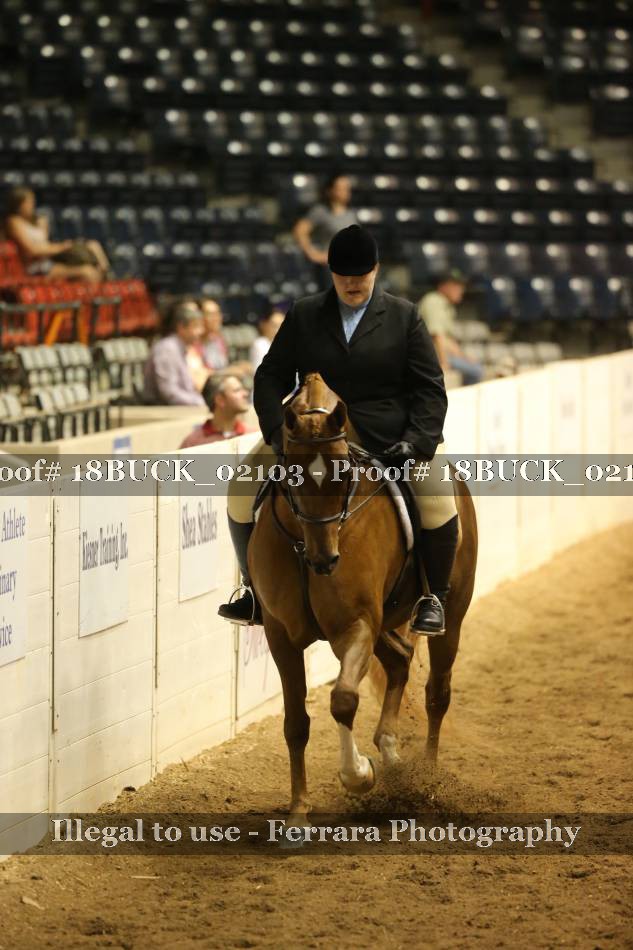 Proof 18BUCK_02103