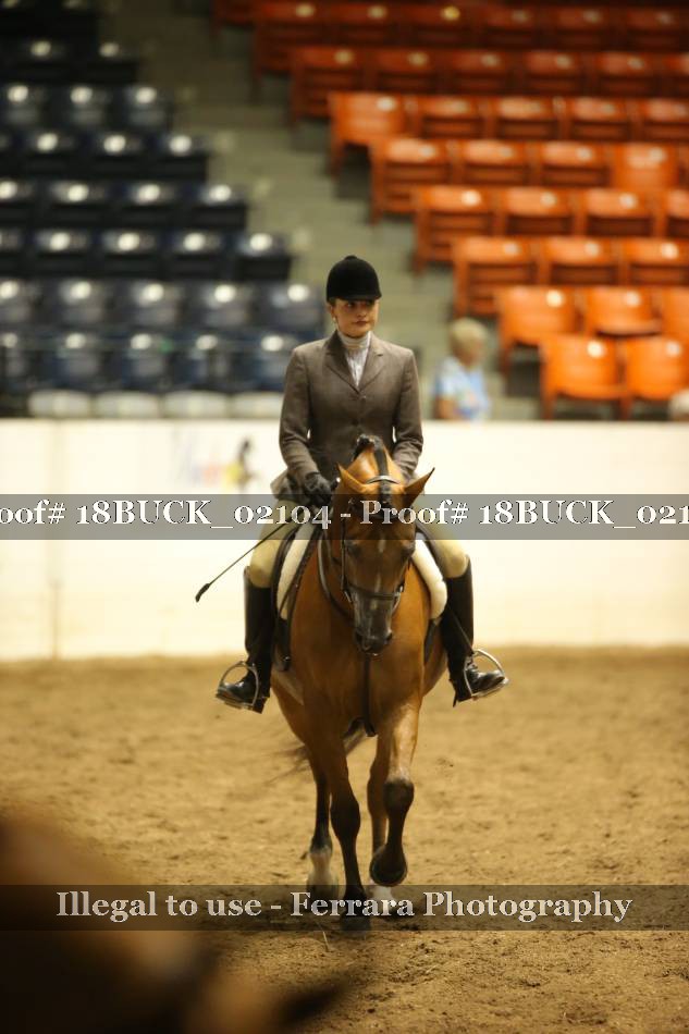 Proof 18BUCK_02104