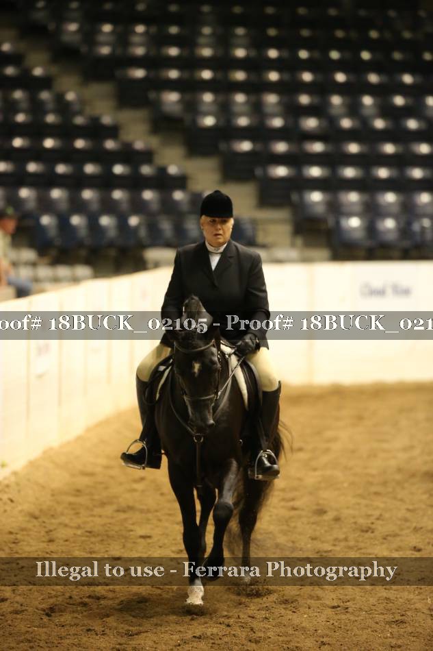 Proof 18BUCK_02105