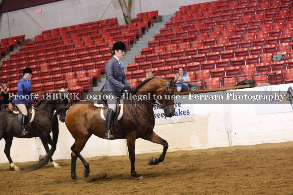 Proof 18BUCK_02106