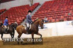 18BUCK_02106 proof