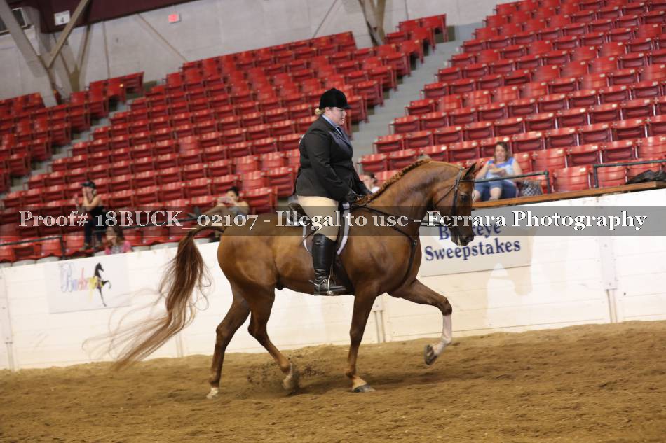 Proof 18BUCK_02107