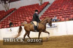 18BUCK_02107 proof