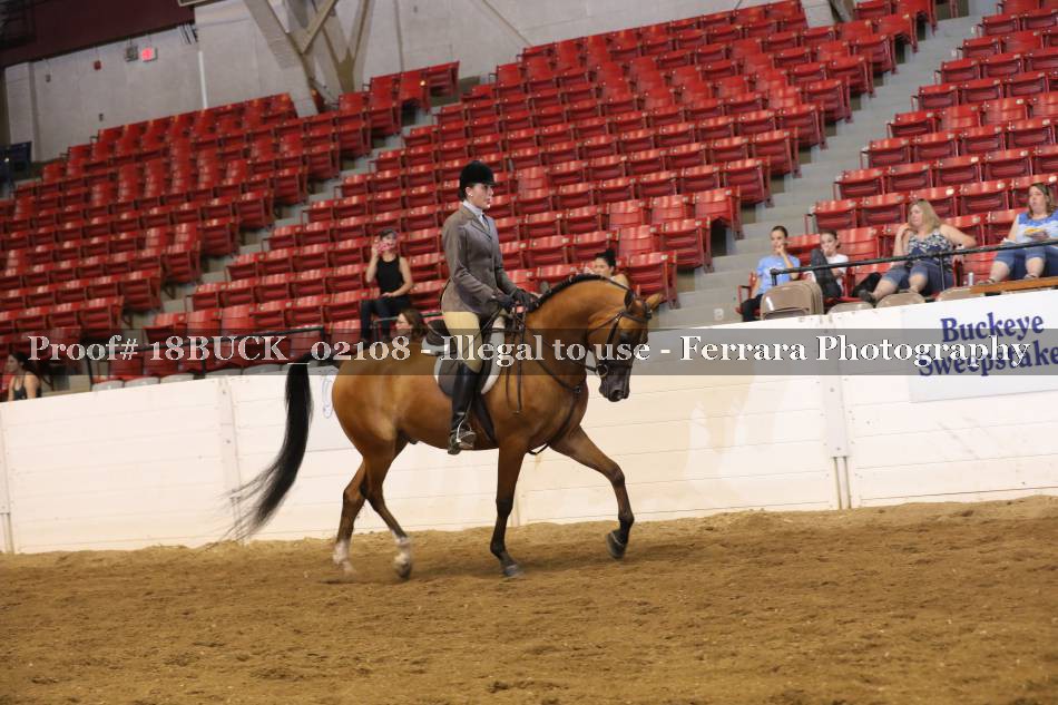 Proof 18BUCK_02108