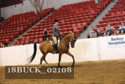 18BUCK_02108 proof