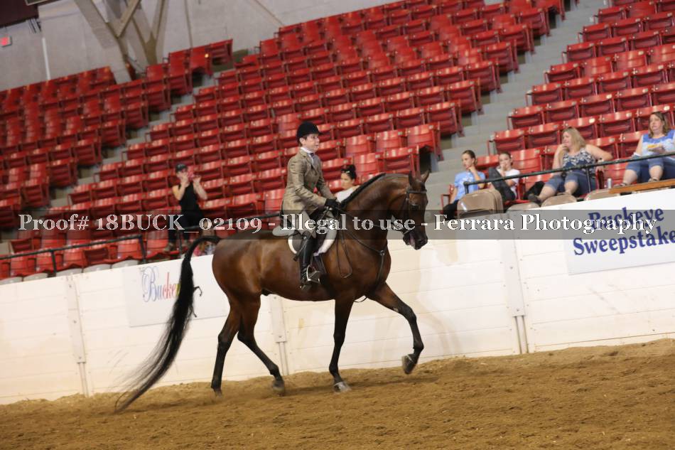 Proof 18BUCK_02109