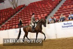 18BUCK_02109 proof