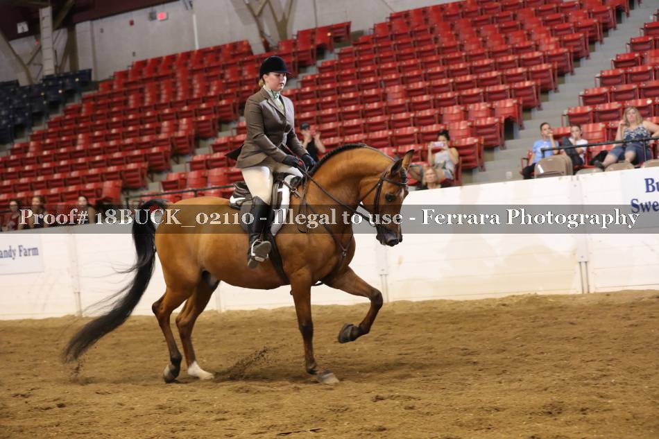 Proof 18BUCK_02110