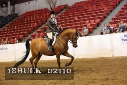 18BUCK_02110 proof